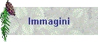 Immagini